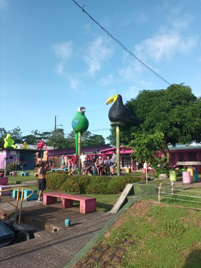 Apartamentos Caiman 3 Tortuguero Zewnętrze zdjęcie