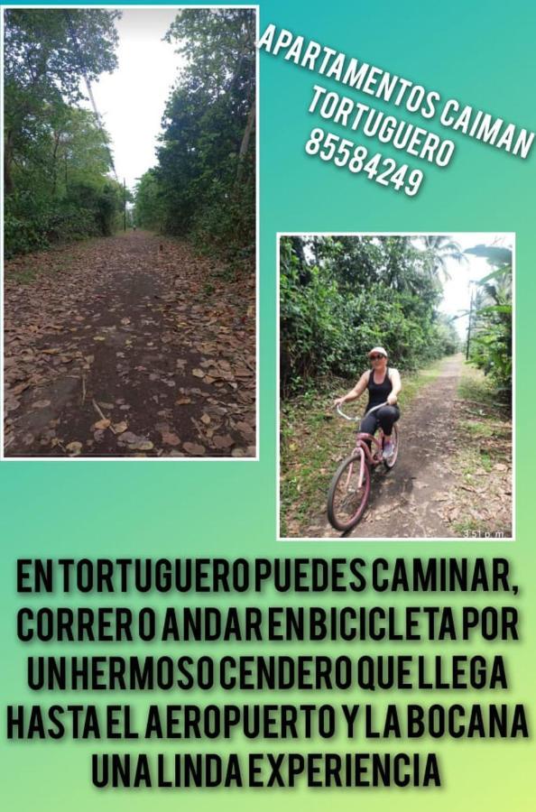 Apartamentos Caiman 3 Tortuguero Zewnętrze zdjęcie