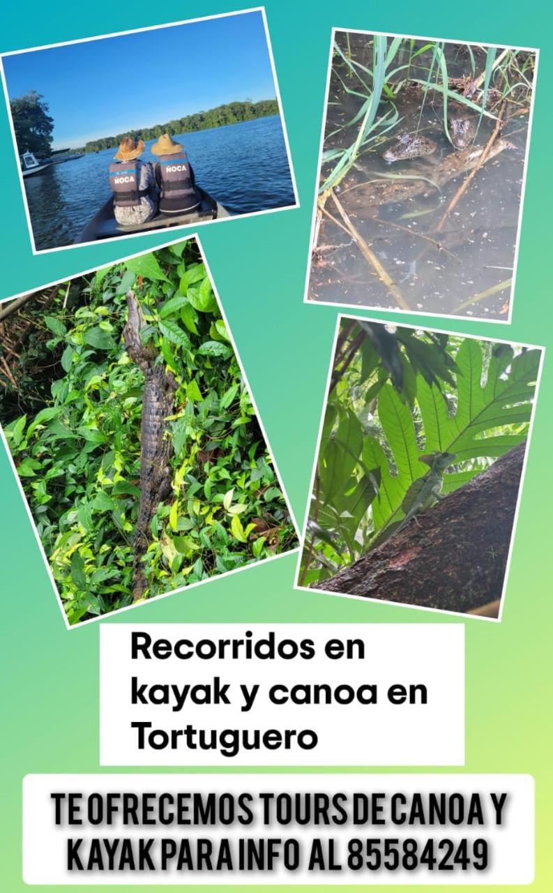 Apartamentos Caiman 3 Tortuguero Zewnętrze zdjęcie